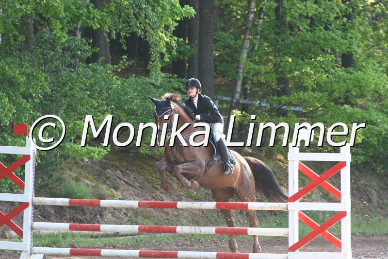 104M7520_Spring A.JPG